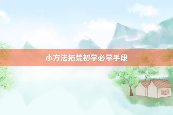 小方法拓荒初学必学手段