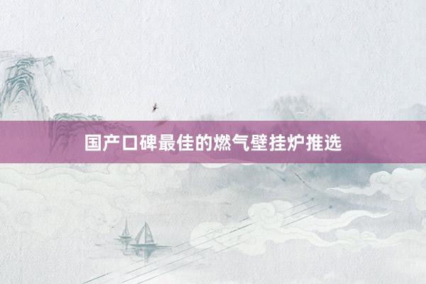 国产口碑最佳的燃气壁挂炉推选