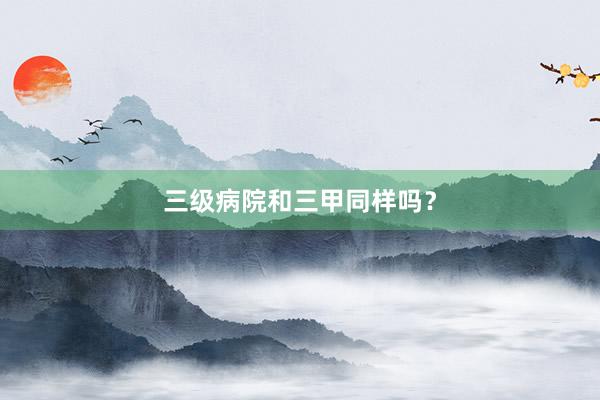 三级病院和三甲同样吗？