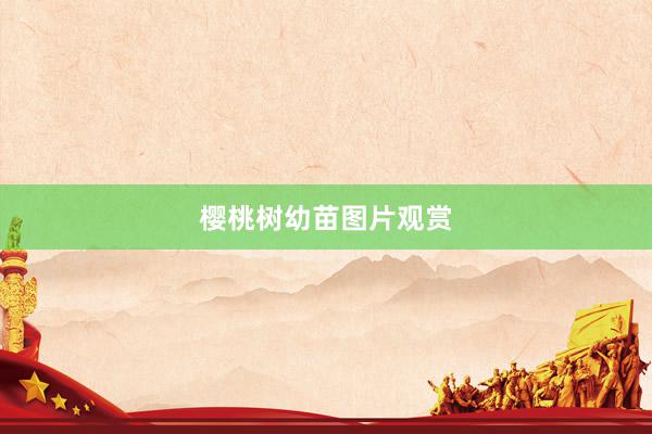 樱桃树幼苗图片观赏